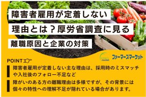 障害者雇用 定着しない 理由