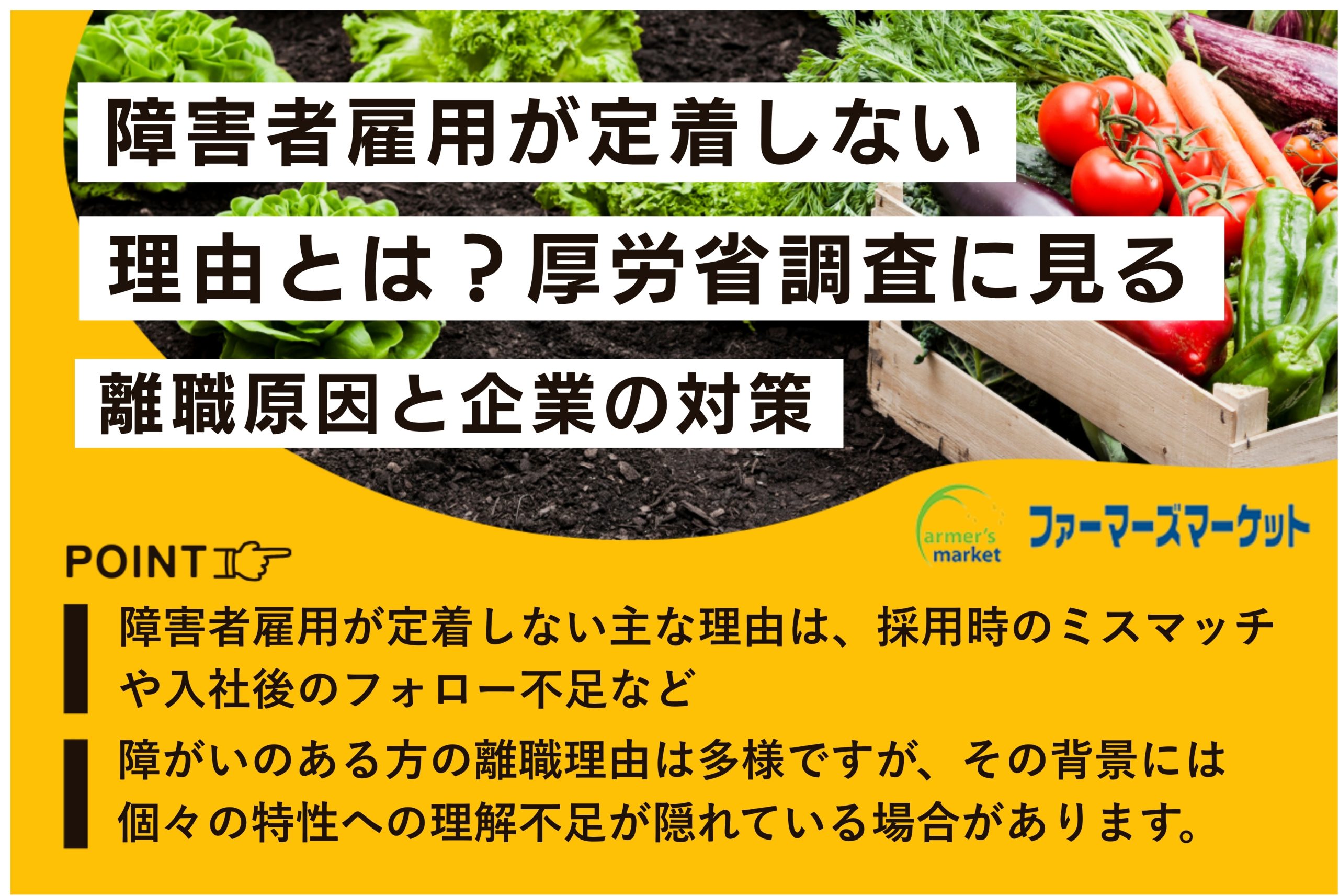障害者雇用 定着しない 理由