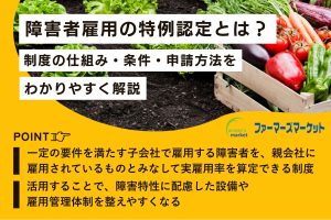 障害者雇用の特例認定とは？制度の仕組み・条件・申請方法をわかりやすく解説