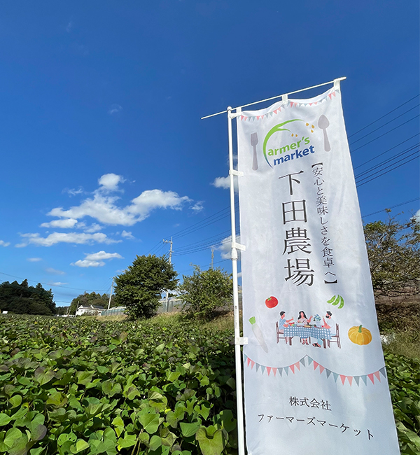 障がい者雇用の本質を見つめて